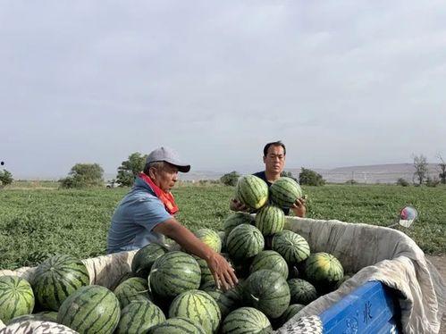 莱芜区吃瓜 第3张 莱芜区吃瓜 第3张